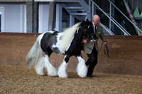 SRC-Showing-220326-269