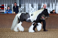 SRC-Showing-220326-275