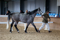 SRC-Showing-220326-276