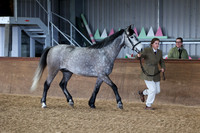 SRC-Showing-220326-277