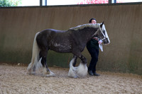 SRC-Showing-220326-488