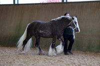 SRC-Showing-220326-489