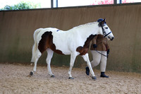SRC-Showing-220326-492
