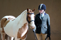 13b In Hand Coloured Pony