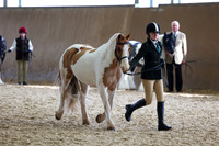 SRC-Showing-220326-633