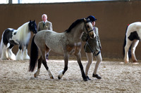 SRC-Showing-220326-639