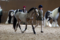 SRC-Showing-220326-638