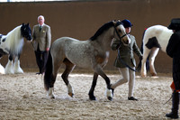 SRC-Showing-220326-640