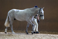 SRC-Showing-220326-769