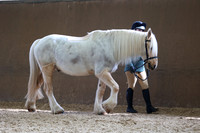 SRC-Showing-220326-771