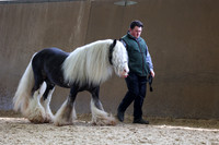 SRC-Showing-220326-773