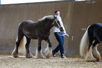 SRC-Showing-220326-774