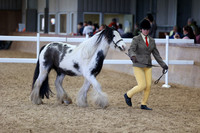 SRC-Showing-220326-781