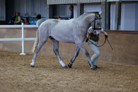 SRC-Showing-220326-783