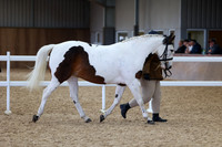 SRC-Showing-220326-865