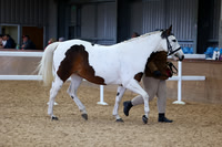 SRC-Showing-220326-866
