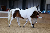 SRC-Showing-220326-867