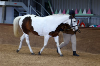 SRC-Showing-220326-868