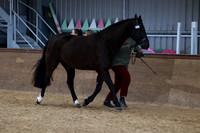 SRC-Showing-220326-870