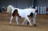 SRC-Showing-220326-869