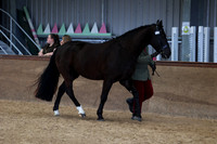 SRC-Showing-220326-871