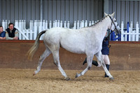 SRC-Showing-220326-879
