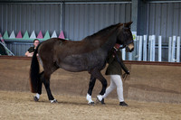 SRC-Showing-220326-938