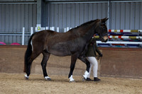 SRC-Showing-220326-939