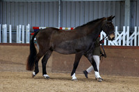 SRC-Showing-220326-940