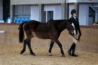 SRC-Showing-220326-943