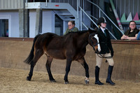 SRC-Showing-220326-944