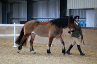 SRC-Showing-220326-946