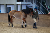 SRC-Showing-220326-948