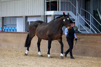 SRC-Showing-220326-949