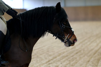 SRC-Showing-220326-1121