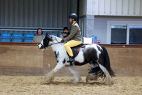 20 Ridden Cob