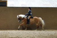 21 Ridden Foreign Breeds