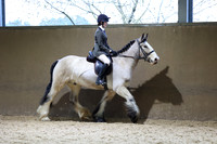 23 Ridden Coloured