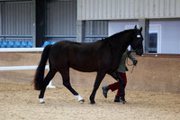 SRC-Showing-220326-1043