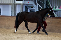 SRC-Showing-220326-1044