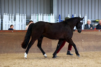 SRC-Showing-220326-1048