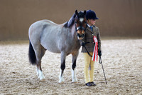 SRC-Showing-220326-903