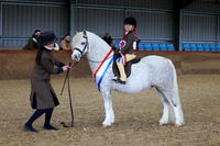 22.03.26 Indoor Showing Show, Stourport Riding Centre