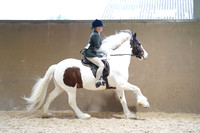 24 Family Horse or Pony