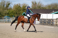 All Dressage Tests between 10:00 am - 12:00 noon