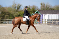 All Dressage Tests between 12:00 noon - 2:00 pm