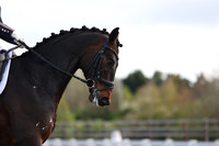EJV_0009