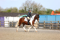 All Dressage tests between 11:00am - 12:30pm