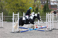 All Showjumping/Clear Round between 09:30 - 11:00am