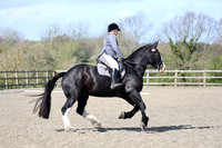 All Dressage Tests between 11:00 - 12:30pm